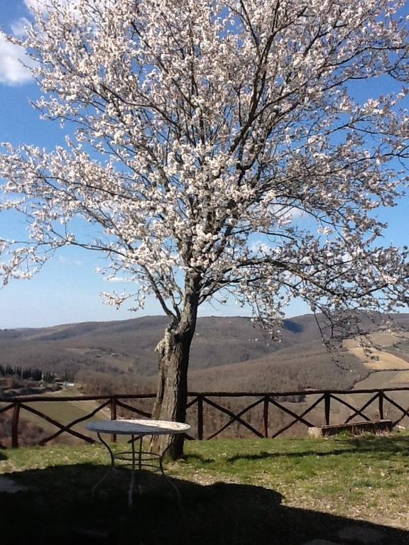 Camere E Appartamenti Baldini Romanita Radda in Chianti Kültér fotó