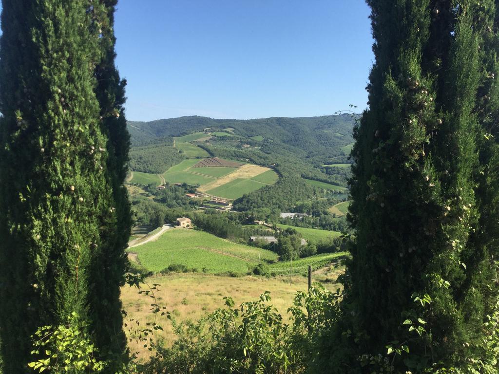 Camere E Appartamenti Baldini Romanita Radda in Chianti Kültér fotó
