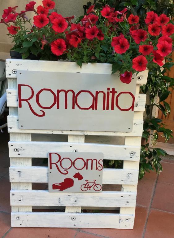 Camere E Appartamenti Baldini Romanita Radda in Chianti Kültér fotó