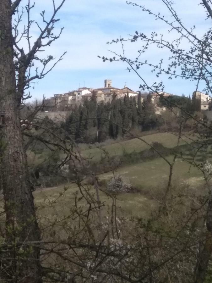 Camere E Appartamenti Baldini Romanita Radda in Chianti Kültér fotó