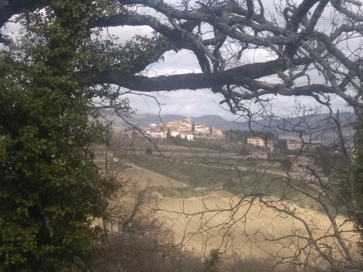 Camere E Appartamenti Baldini Romanita Radda in Chianti Kültér fotó
