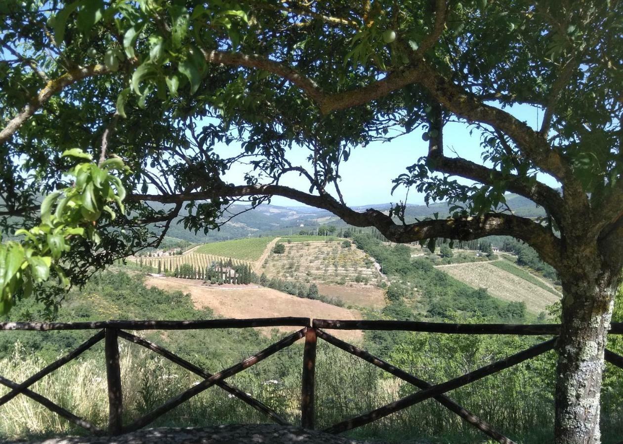 Camere E Appartamenti Baldini Romanita Radda in Chianti Kültér fotó