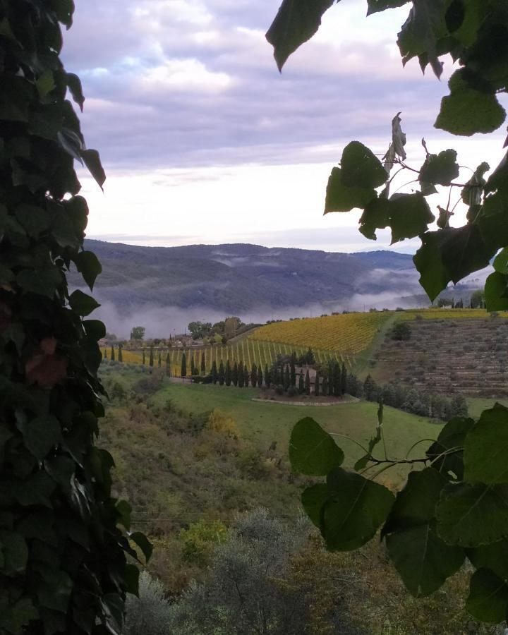 Camere E Appartamenti Baldini Romanita Radda in Chianti Kültér fotó